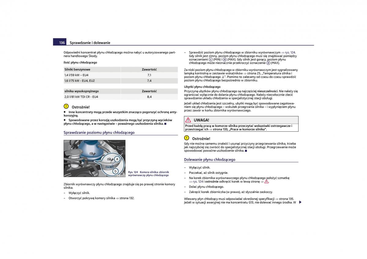 Skoda Octavia II instrukcja obslugi / page 137