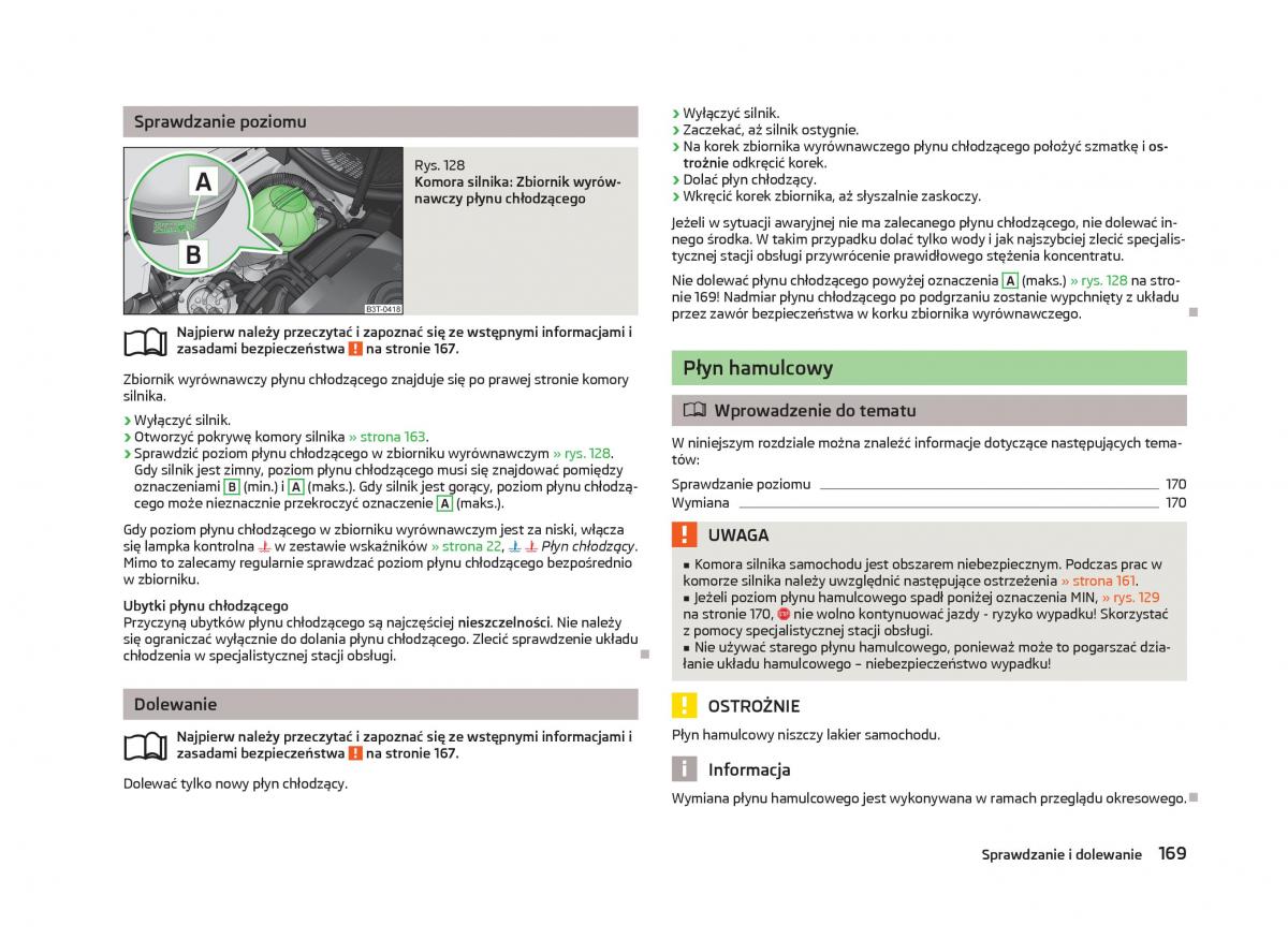 Skoda Fabia II 2 instrukcja obslugi / page 172