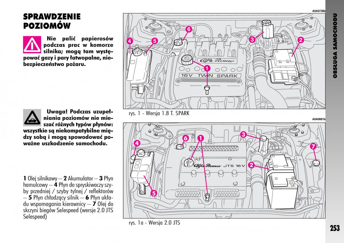 manual  Alfa Romeo GT instrukcja / page 254