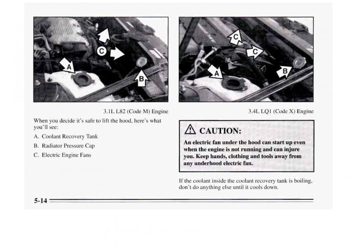 Chevrolet Monte Carlo V 5 owners manual / page 176