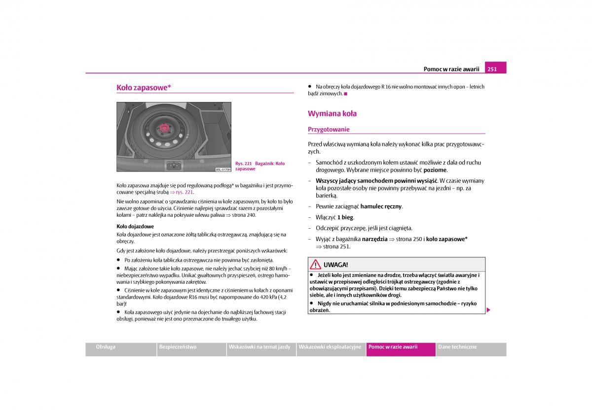 Skoda Yeti instrukcja obslugi / page 253