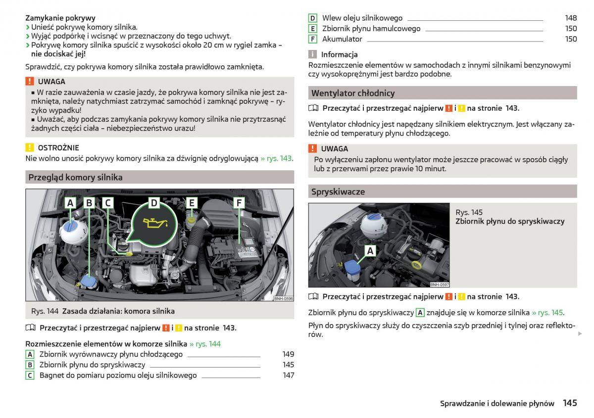 Skoda Rapid instrukcja obslugi / page 147