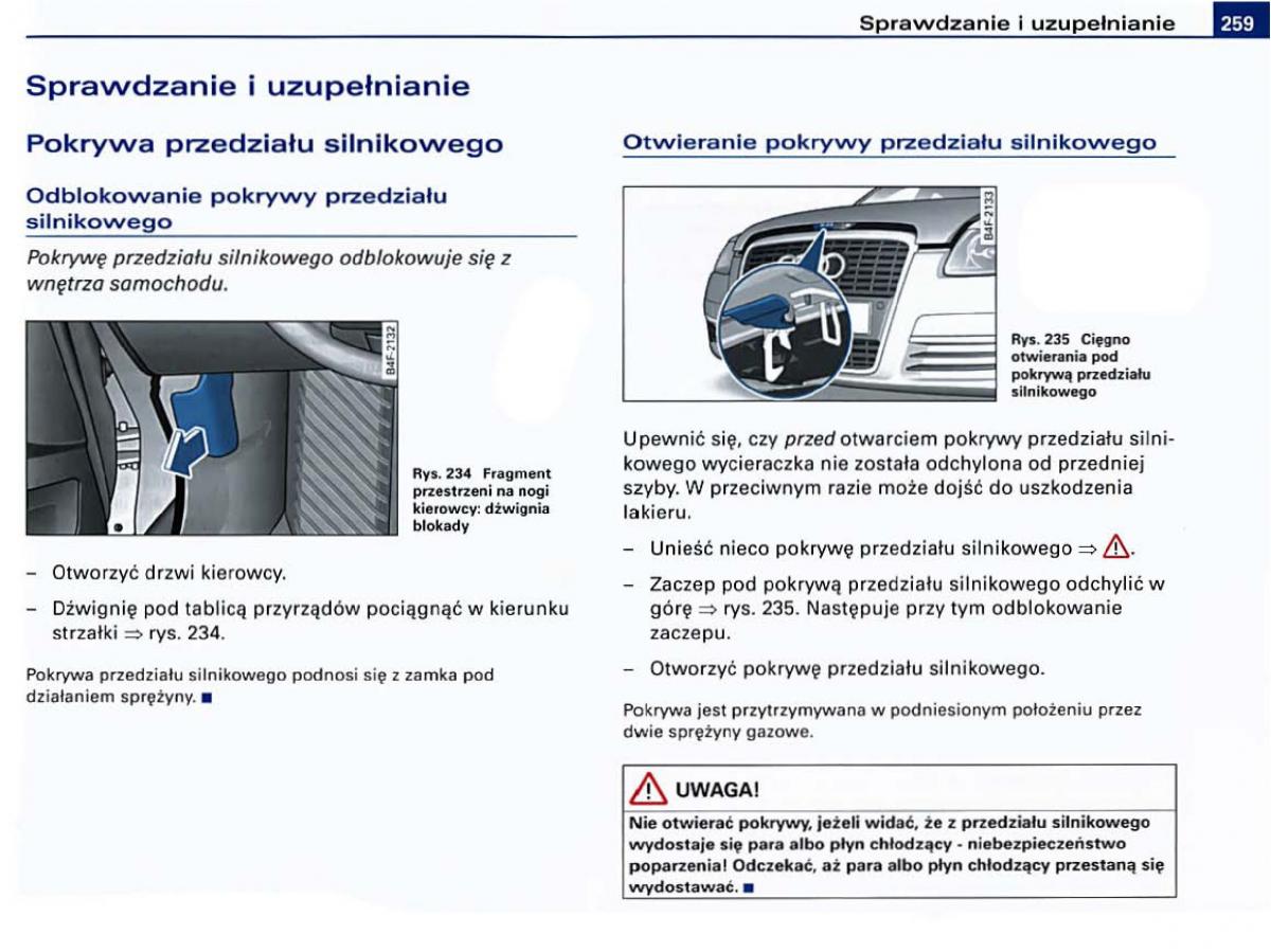 manual Audi A6 Audi A6 C6 instrukcja / page 253