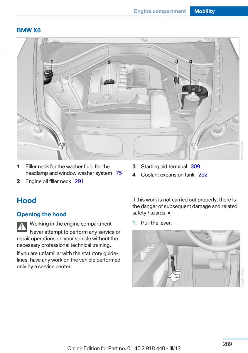 BMW X5 X6 F15 F16 owners manual / page 289