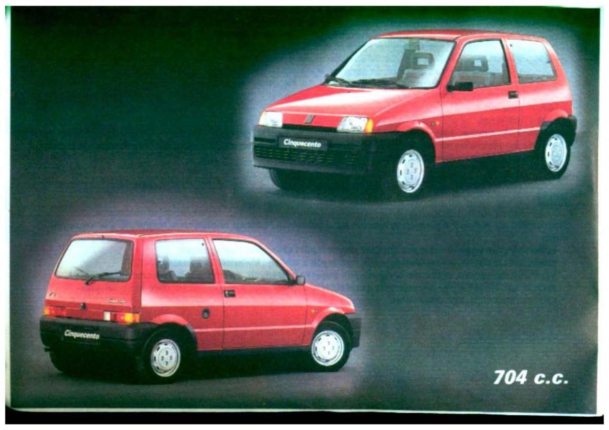 Fiat Cinquecento instrukcja obslugi / page 5