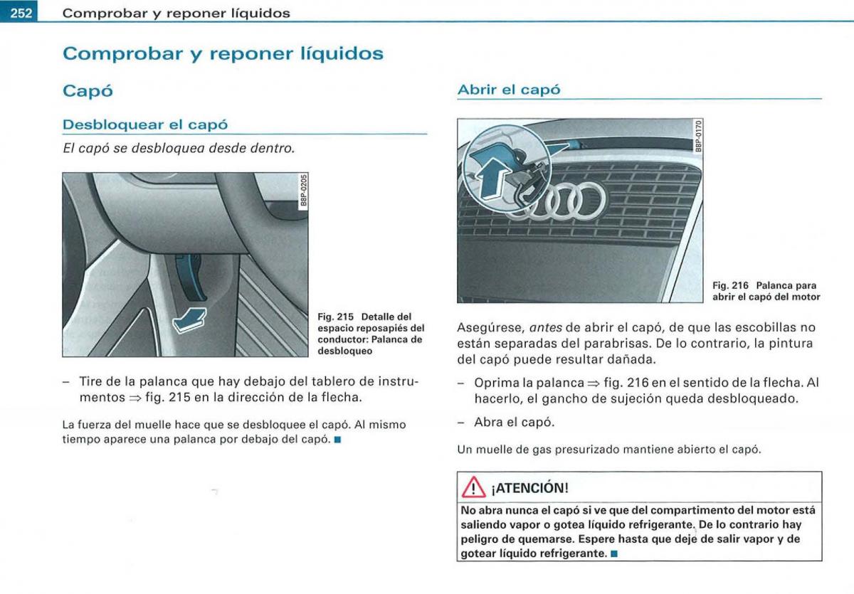 Audi A3 II 2 8P owners manual manual del propietario / page 254