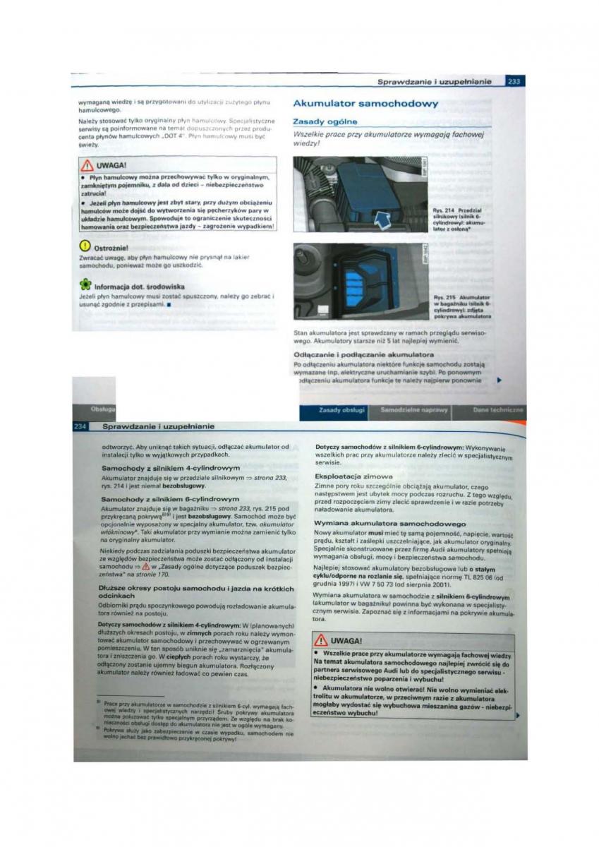 Audi A3 II 2 8P instrukcja obslugi / page 117