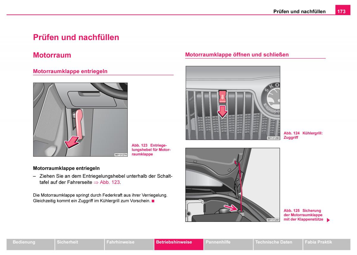 Skoda Fabia I 1 Handbuch / page 174