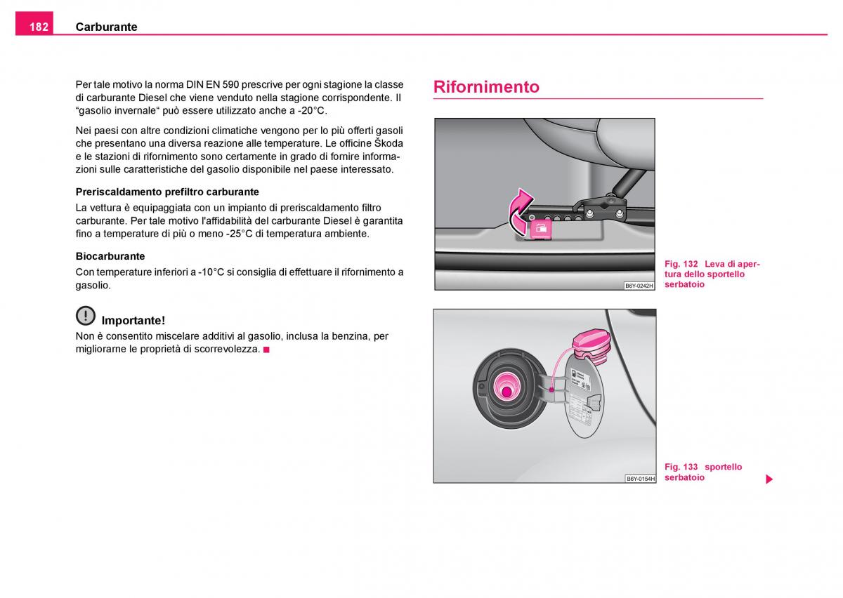 Skoda Fabia I 1 manuale del proprietario / page 183