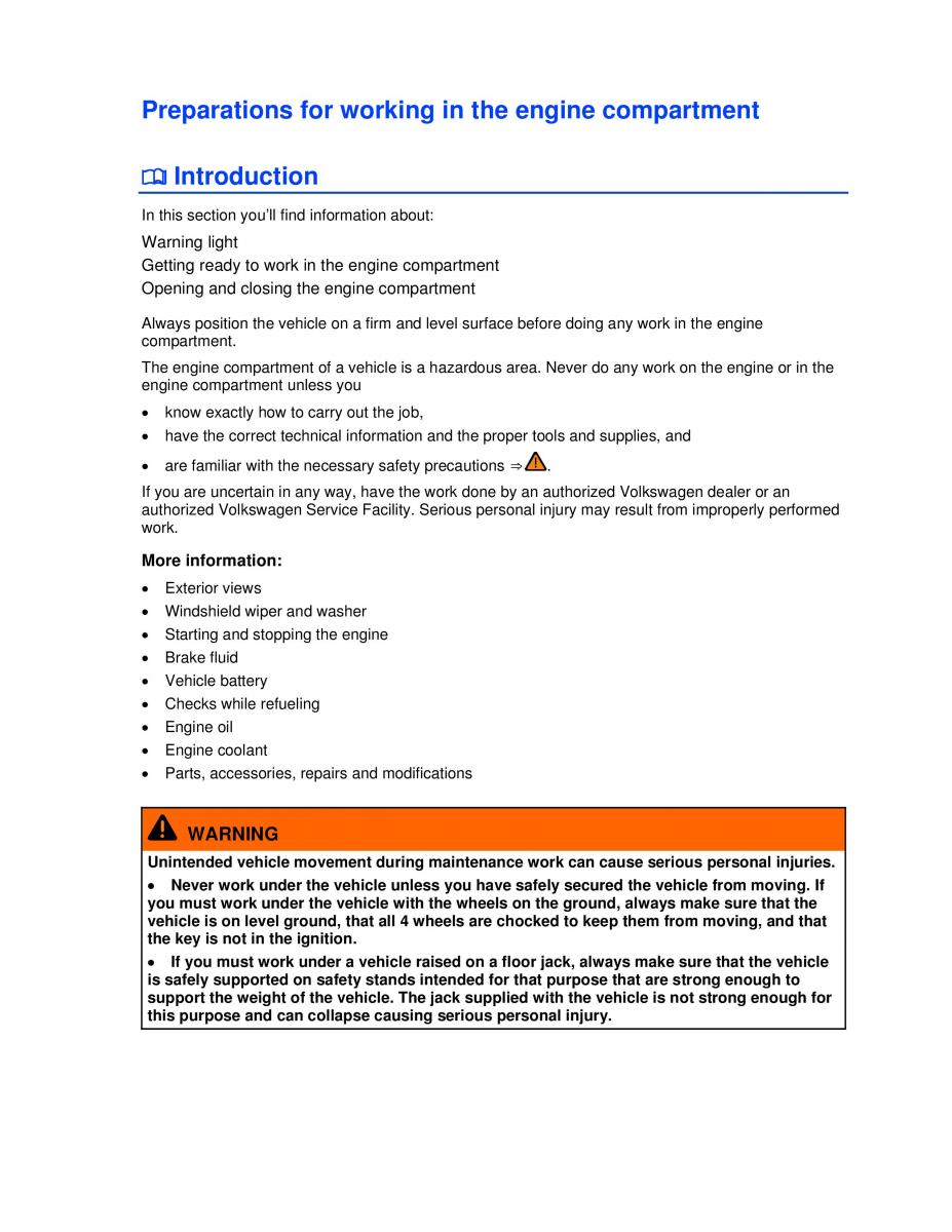 VW Golf VI 6 owners manual / page 226