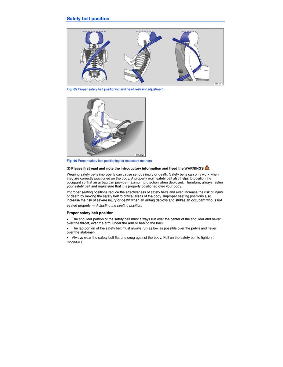 VW Tiguan owners manual / page 99