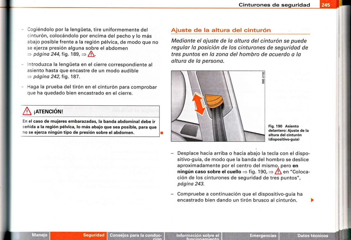 Audi A4 B6 8E manual del propietario / page 239