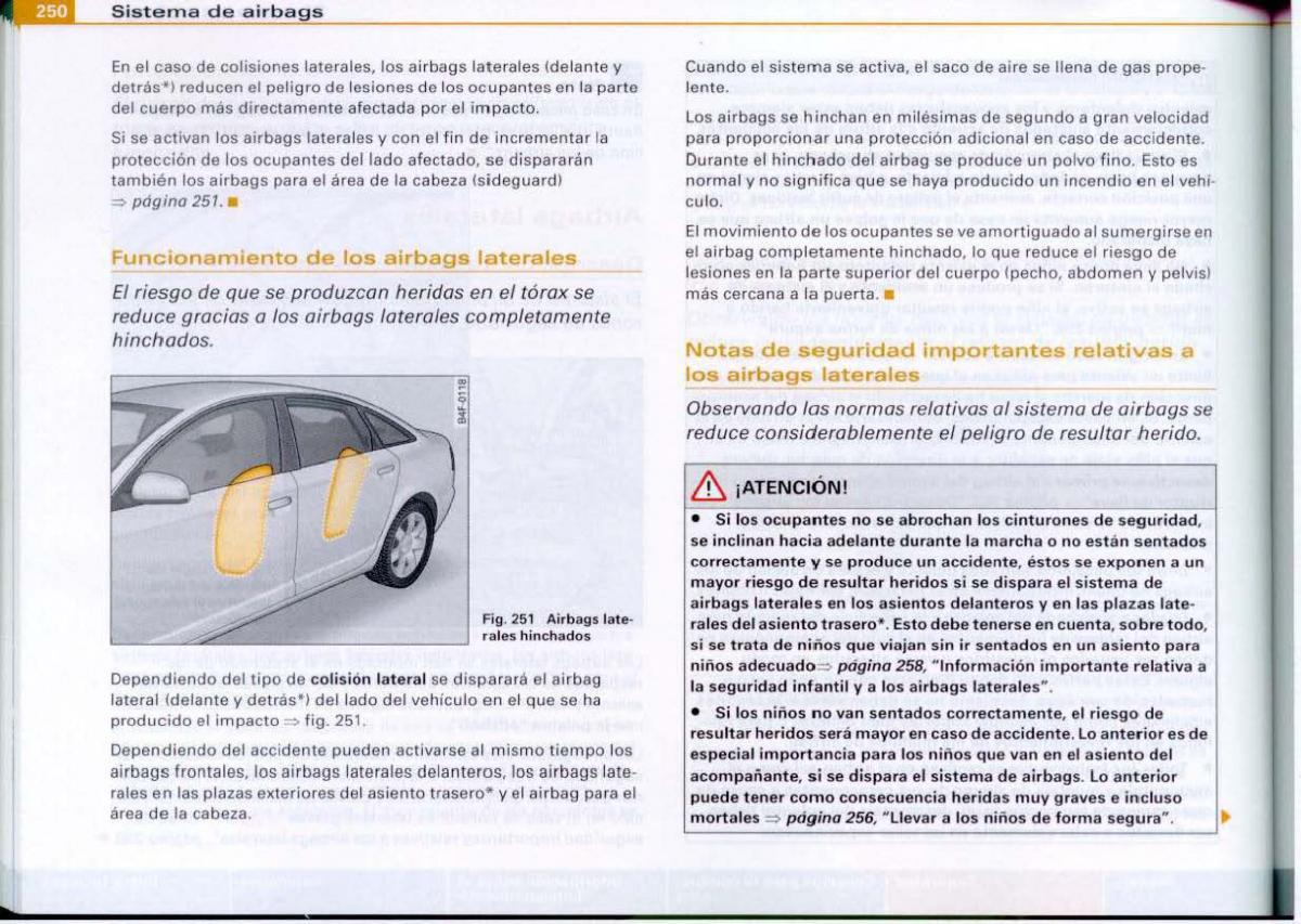 Audi A6 C6 manual del propietario / page 252