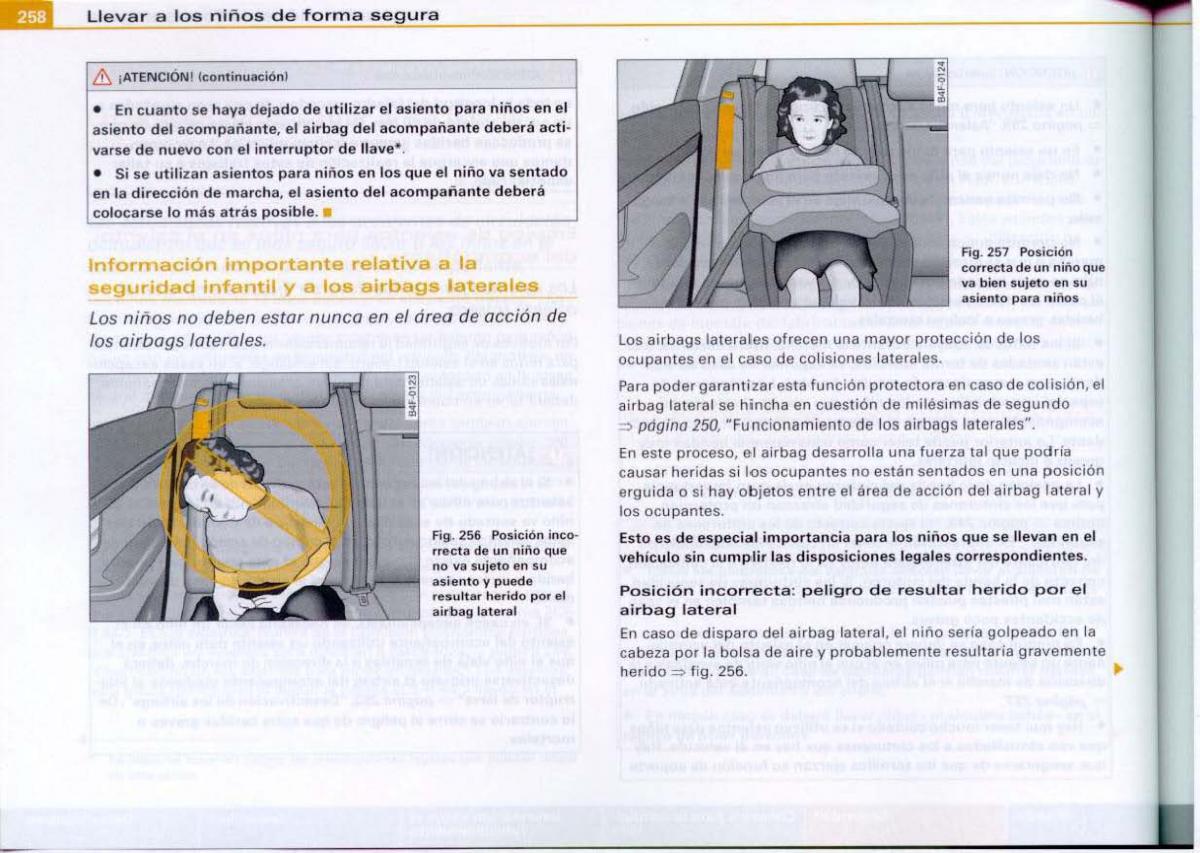 Audi A6 C6 manual del propietario / page 260