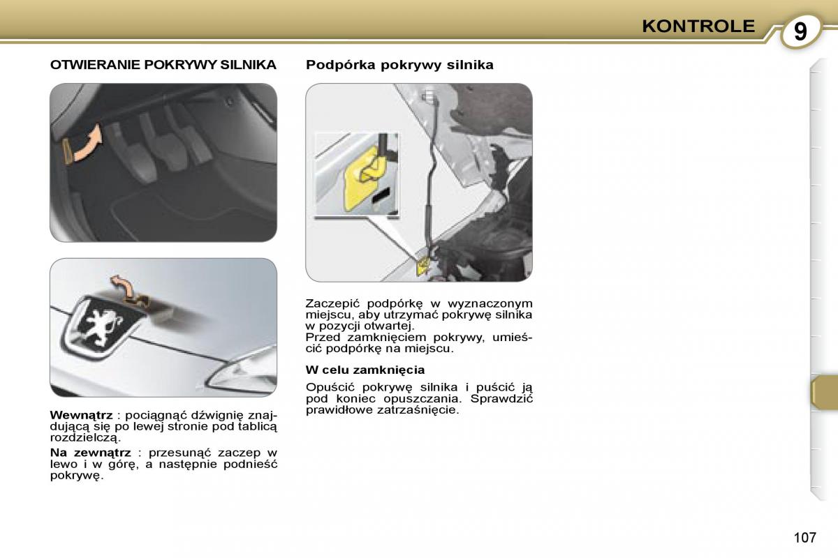 Peugeot 407 instrukcja / page 107