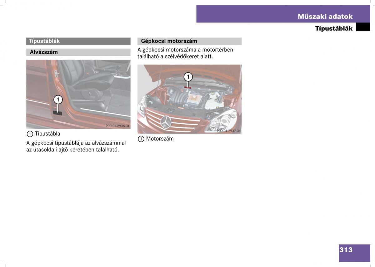 Mercedes Benz B Class W245 Kezelesi utmutato / page 315