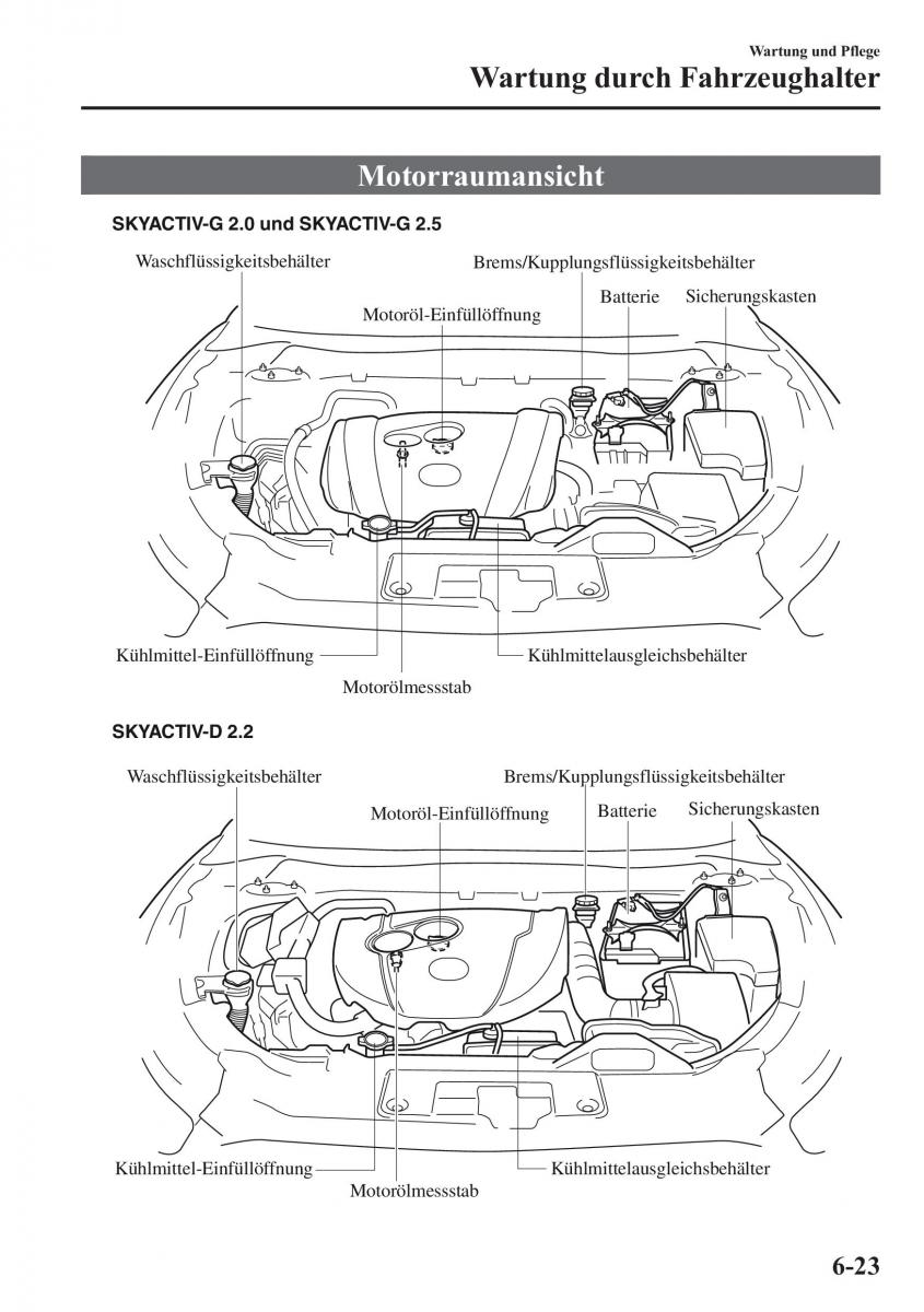 manual Mazda CX 5 Mazda CX 5 Handbuch / page 483