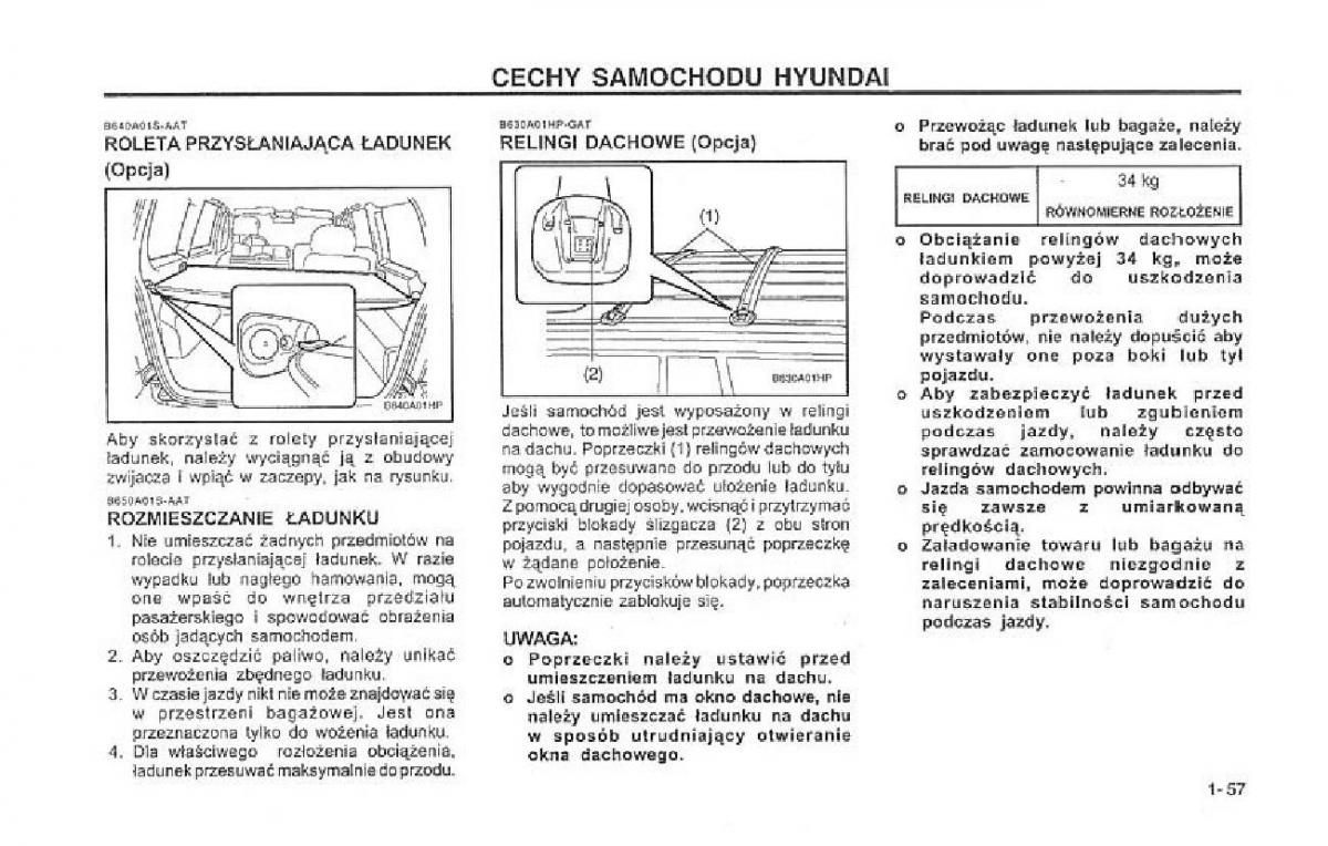 Hyundai Terracan Highlander instrukcja obslugi / page 64