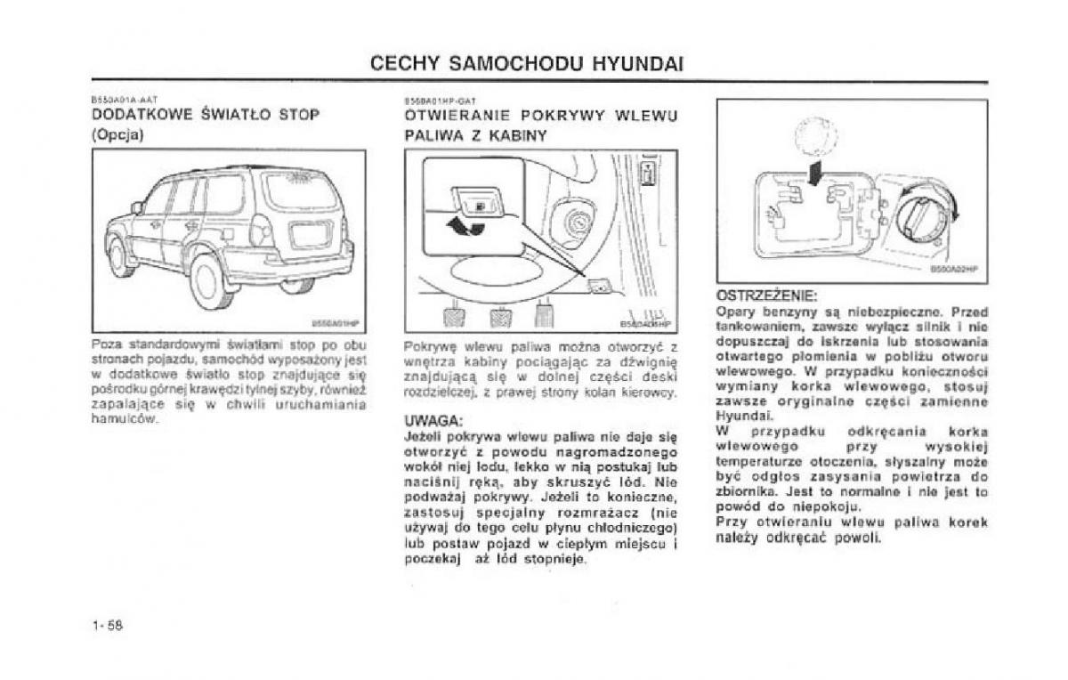 Hyundai Terracan Highlander instrukcja obslugi / page 65