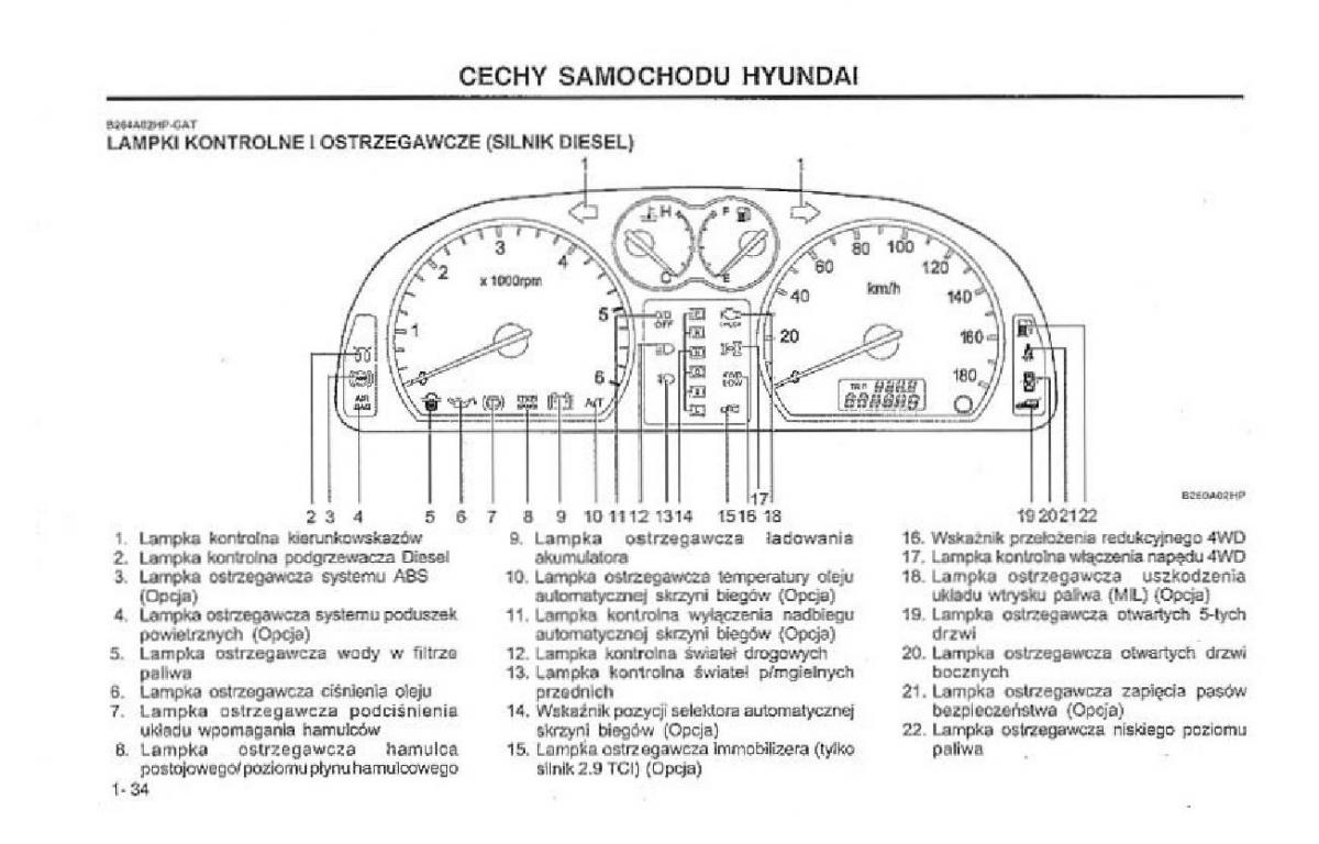 Hyundai Terracan Highlander instrukcja obslugi / page 41