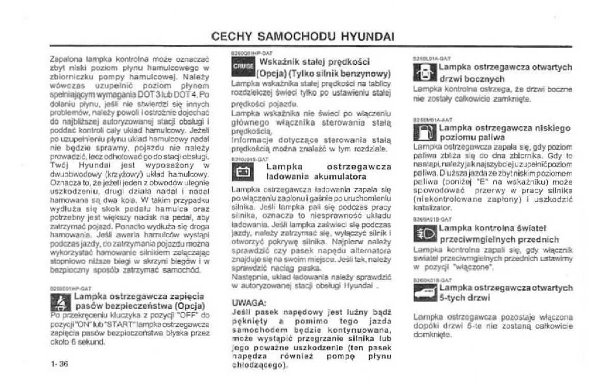 Hyundai Terracan Highlander instrukcja obslugi / page 43