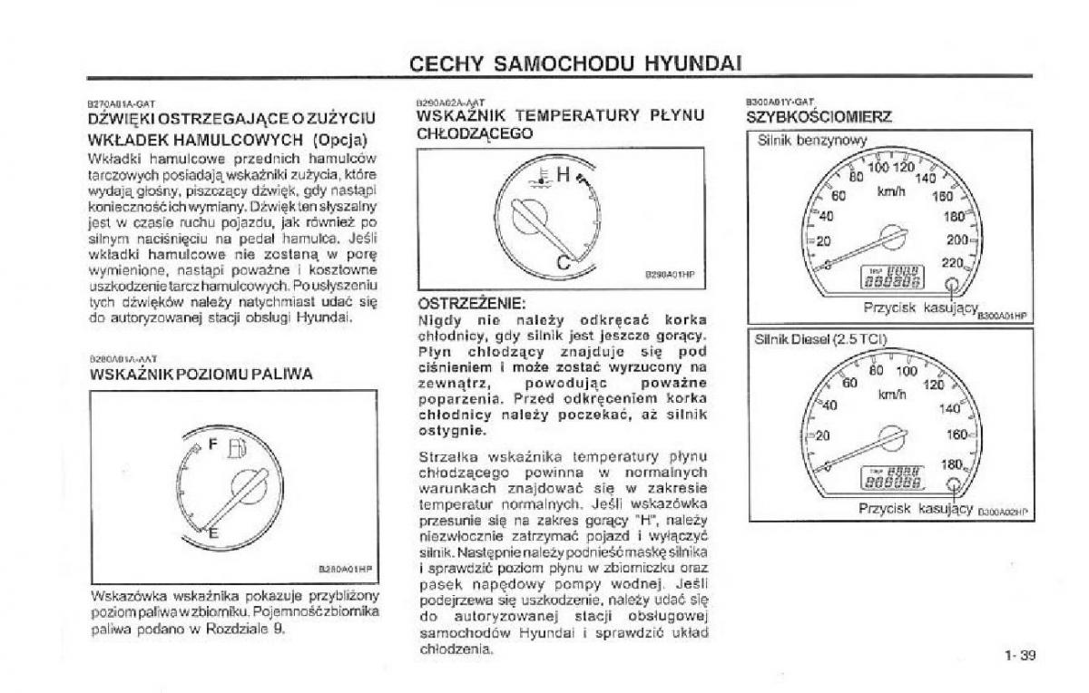 Hyundai Terracan Highlander instrukcja obslugi / page 46