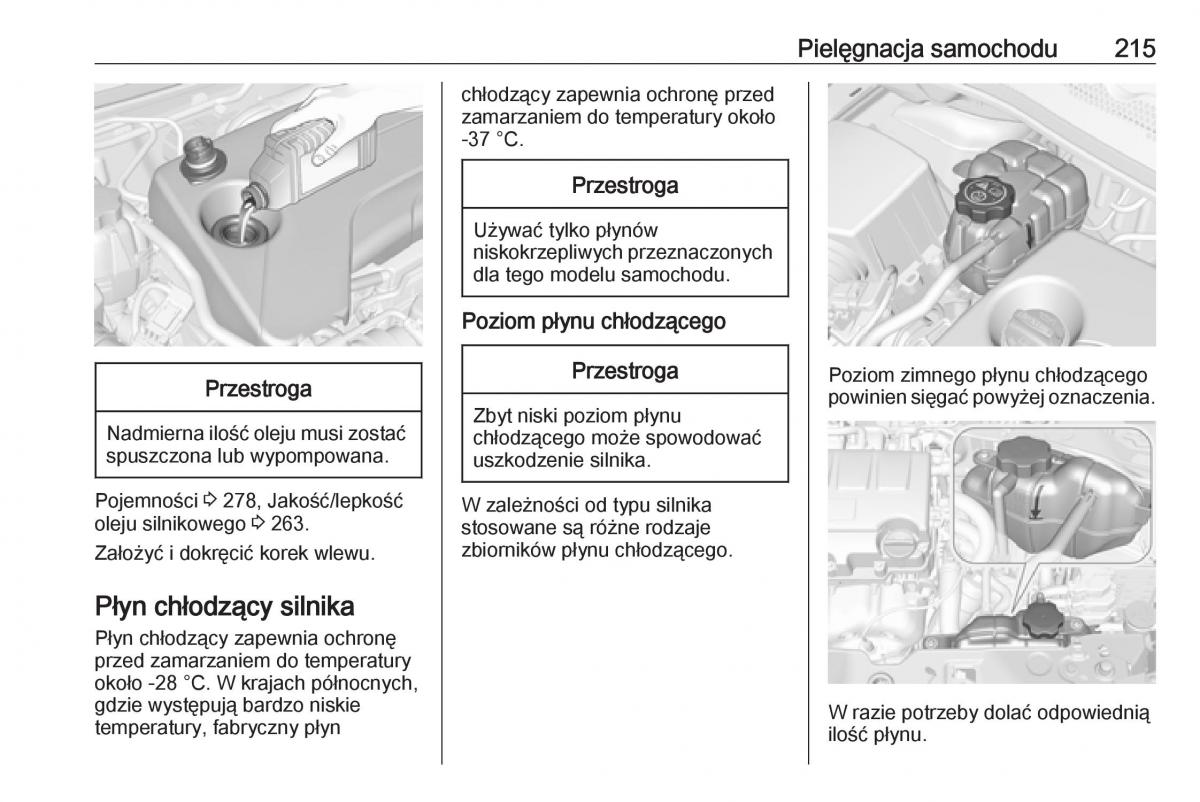 Opel Corsa E instrukcja obslugi / page 217