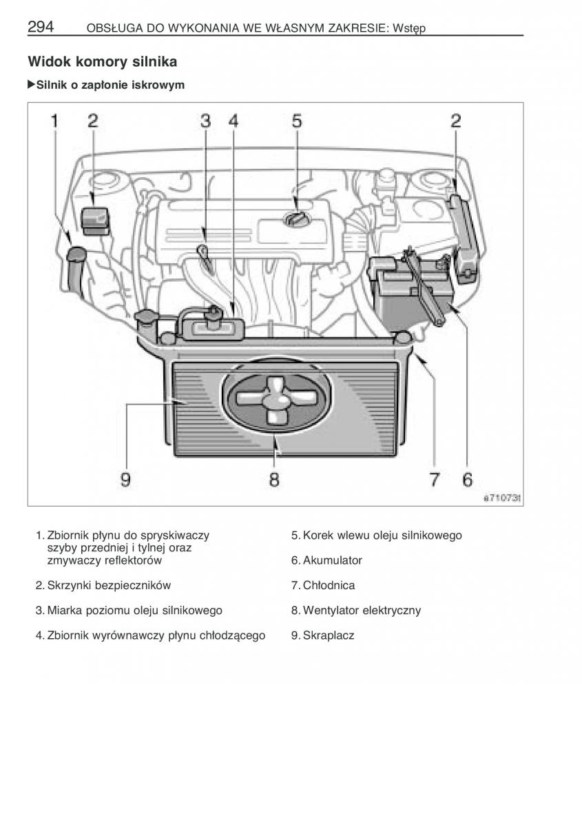 Toyota Corolla IX 9 E120 E130 E12 instrukcja obslugi / page 301