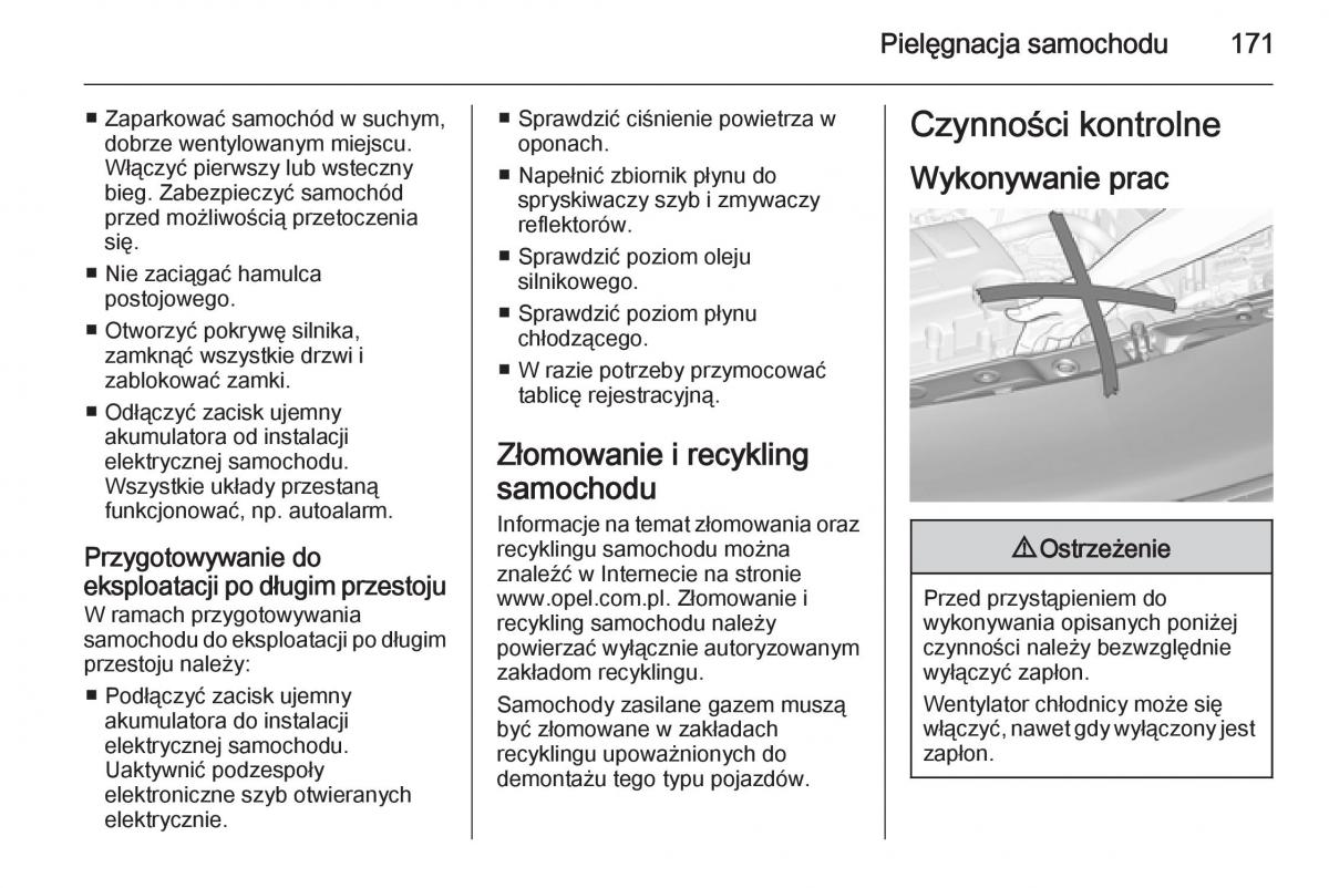 Opel Adam instrukcja obslugi / page 173