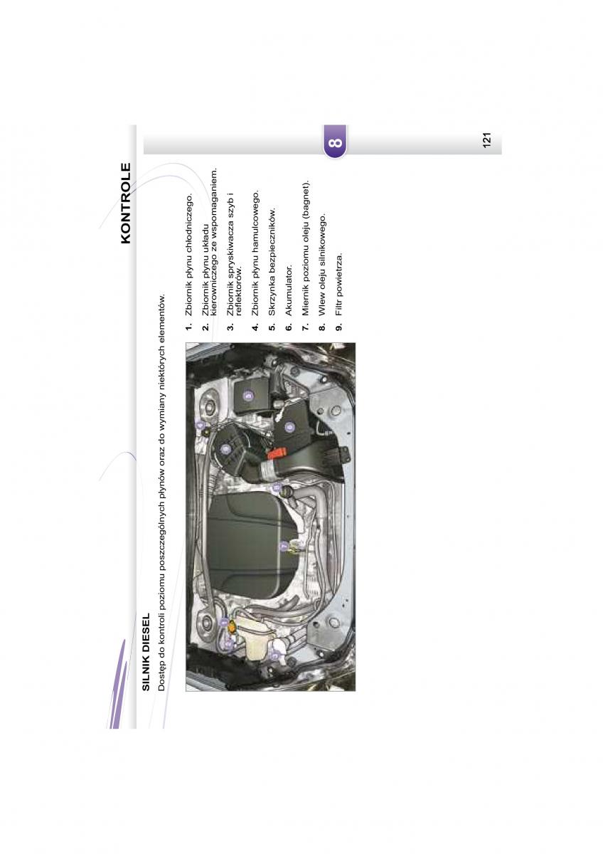 Peugeot 4007 instrukcja obslugi / page 118