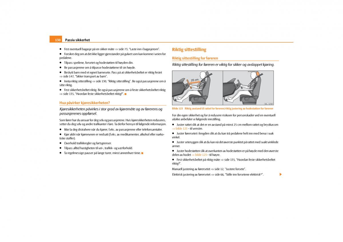 Skoda Yeti bruksanvisningen / page 131