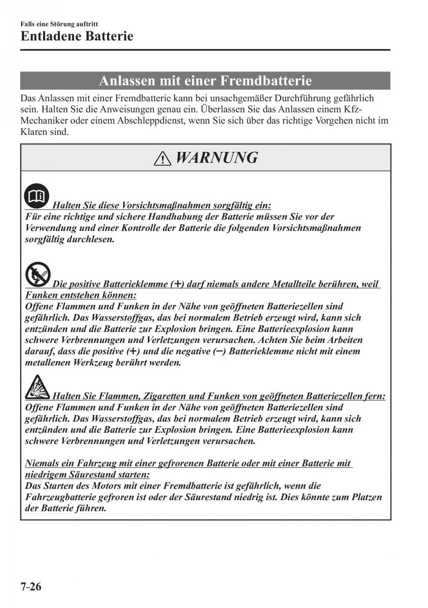 Mazda CX 3 Handbuch / page 597