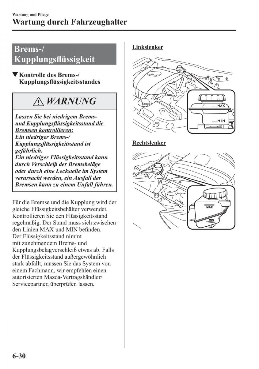 Mazda CX 3 Handbuch / page 529