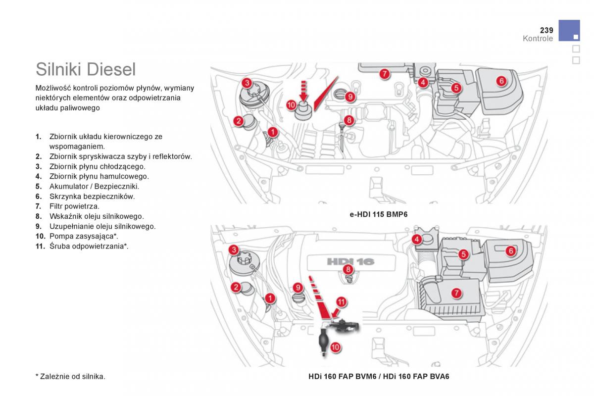 Citroen DS5 instrukcja obslugi / page 241