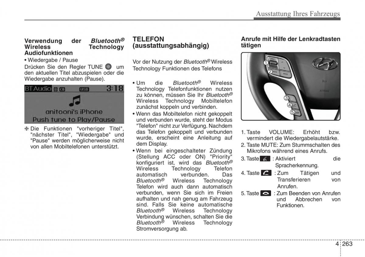 Hyundai Santa Fe III 3 Handbuch / page 366