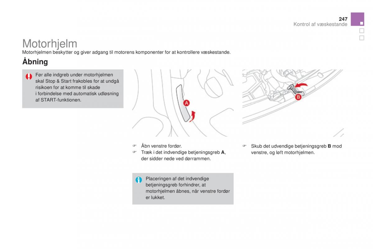 Citroen DS3 Bilens instruktionsbog / page 249