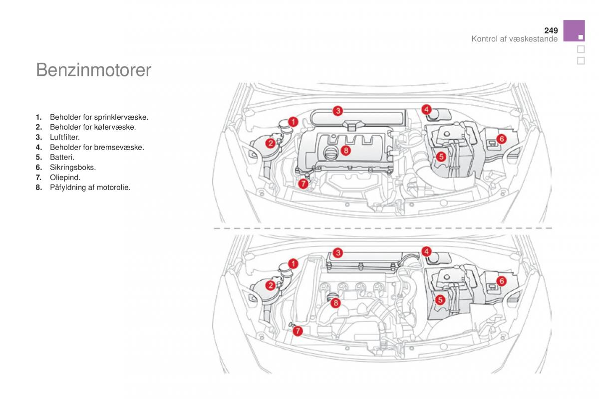 Citroen DS3 Bilens instruktionsbog / page 251