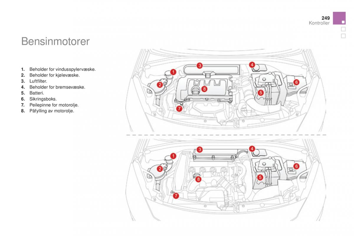 Citroen DS3 bruksanvisningen / page 251