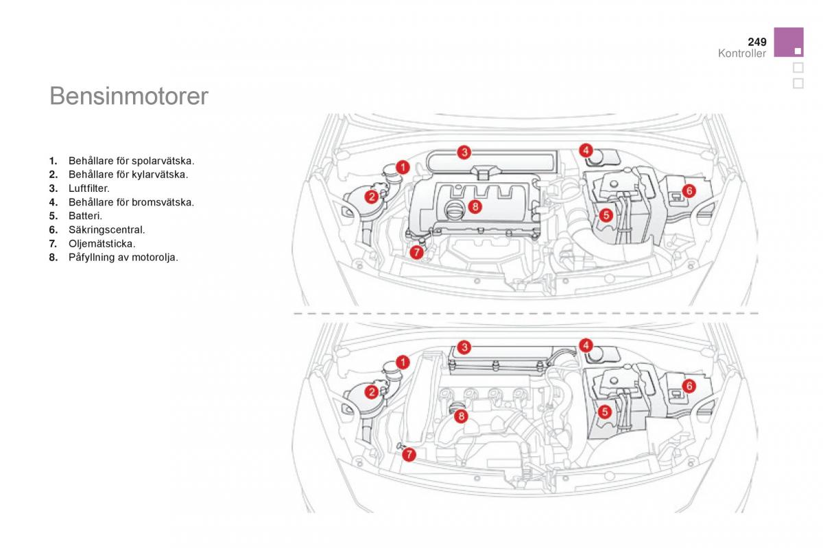 Citroen DS3 instruktionsbok / page 251