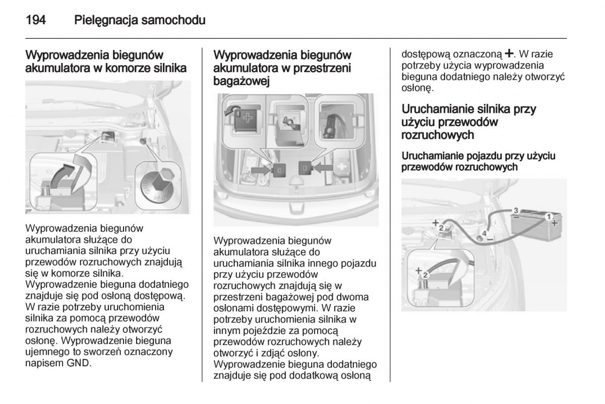 Opel Ampera instrukcja obslugi / page 196