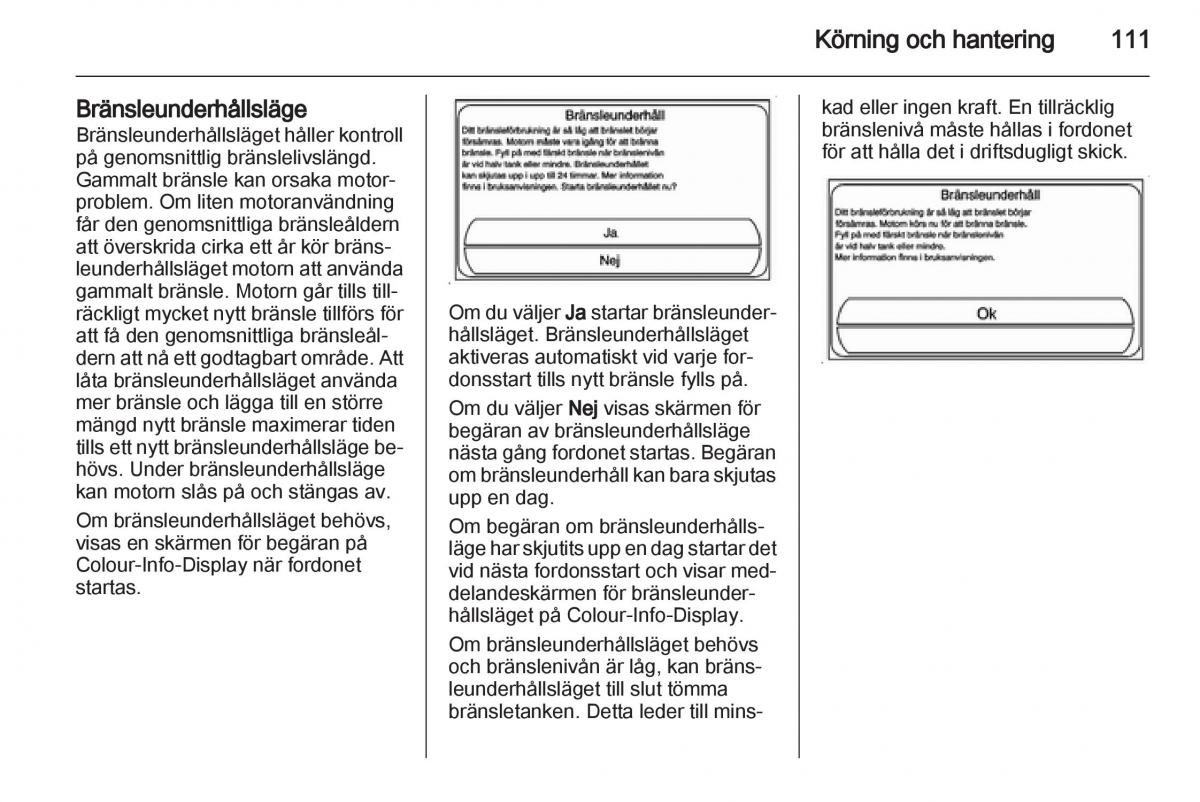 Opel Ampera instruktionsbok / page 113