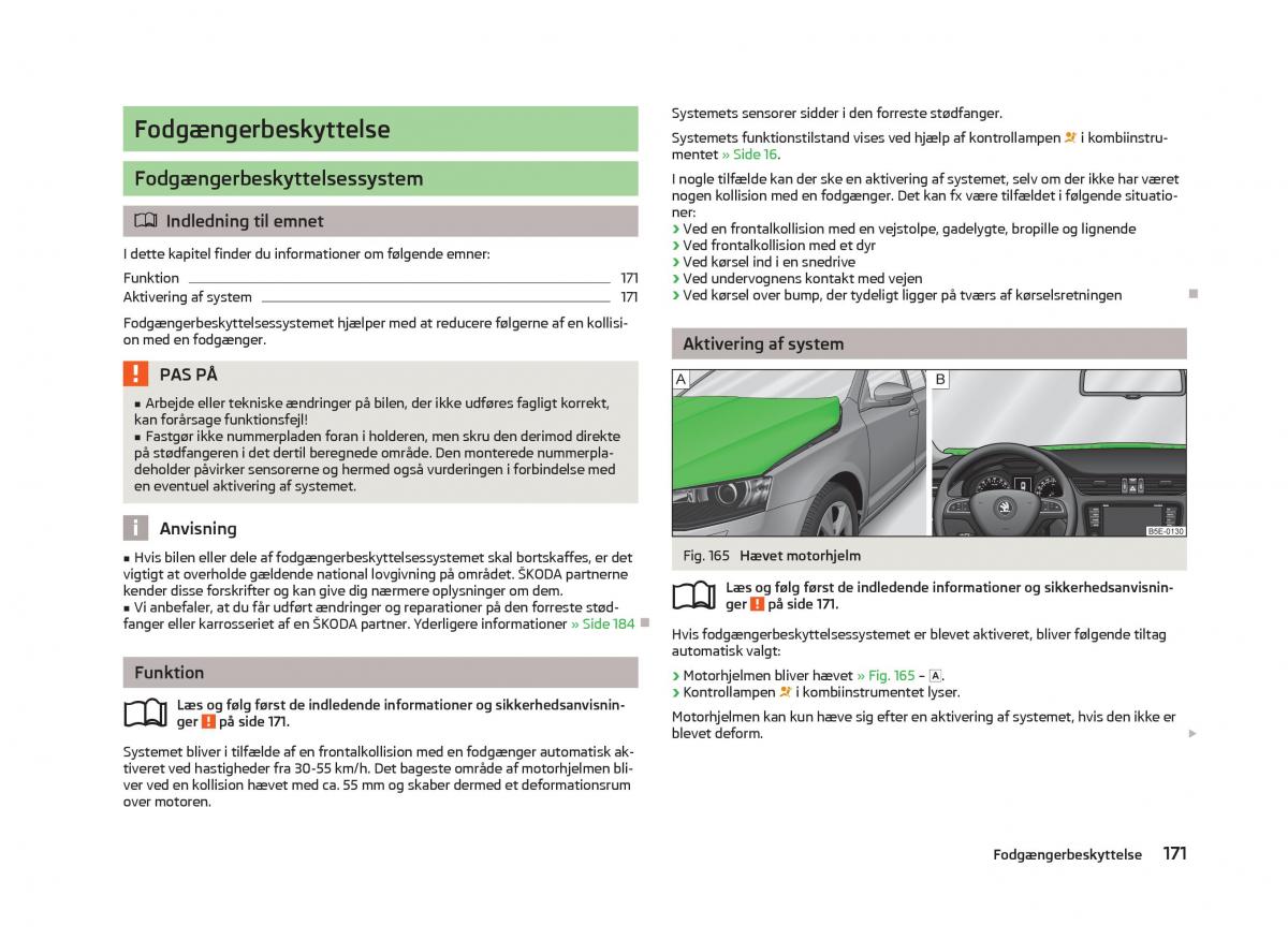 Skoda Octavia III 3 Bilens instruktionsbog / page 173