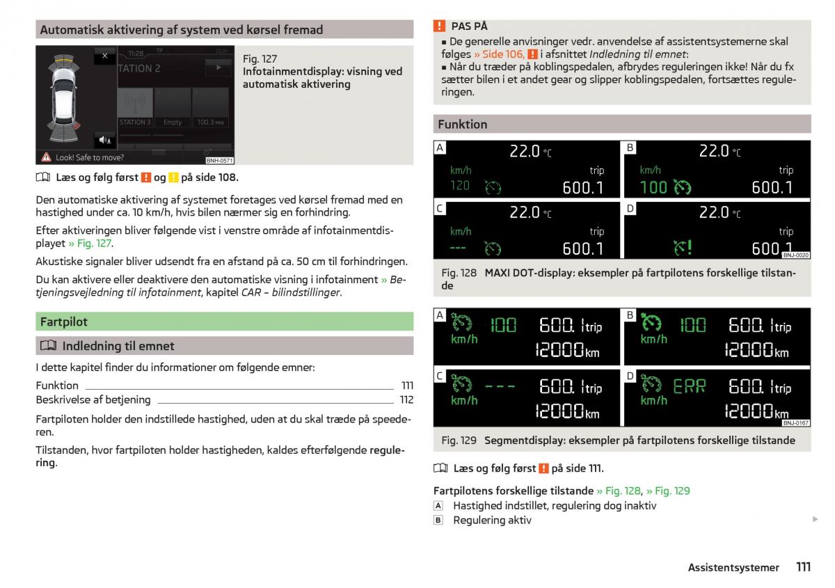 Skoda Rapid Bilens instruktionsbog / page 113