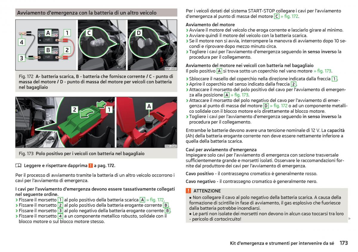 Skoda Rapid manuale del proprietario / page 175