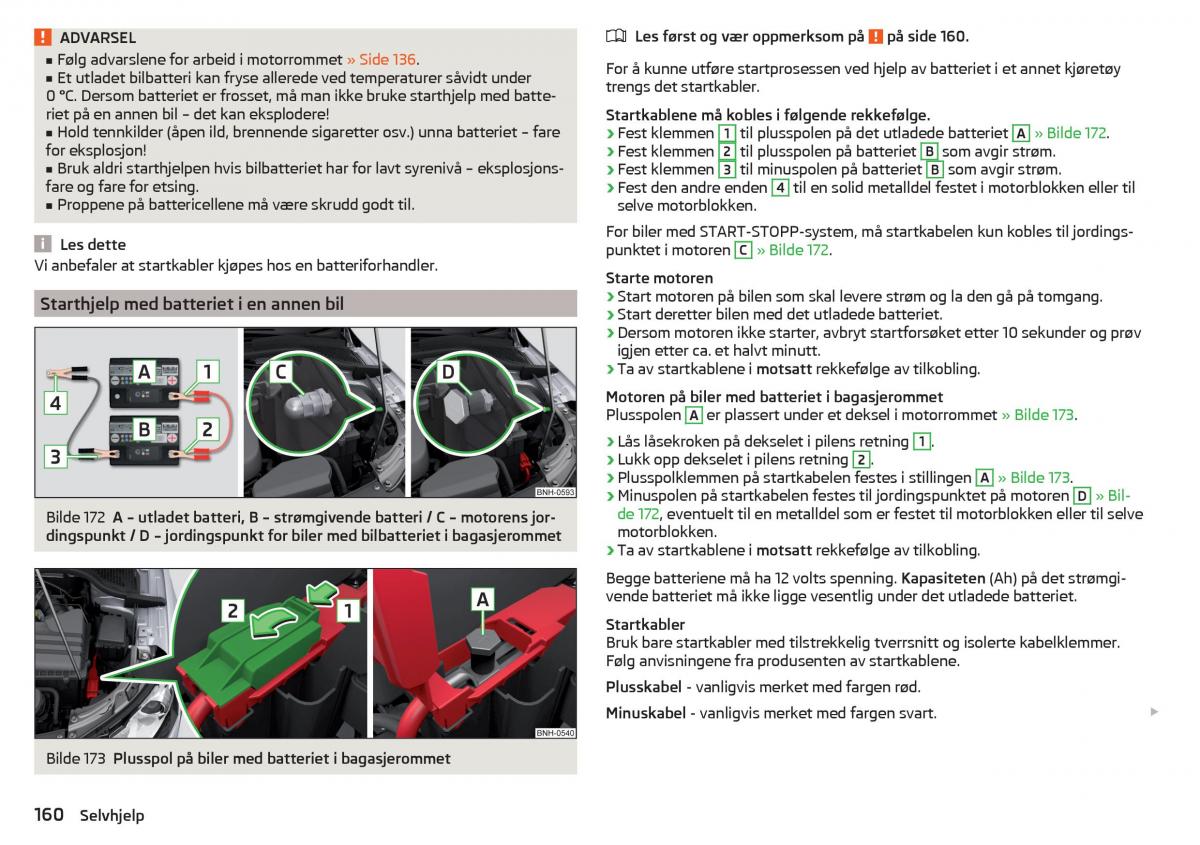 Skoda Rapid bruksanvisningen / page 162