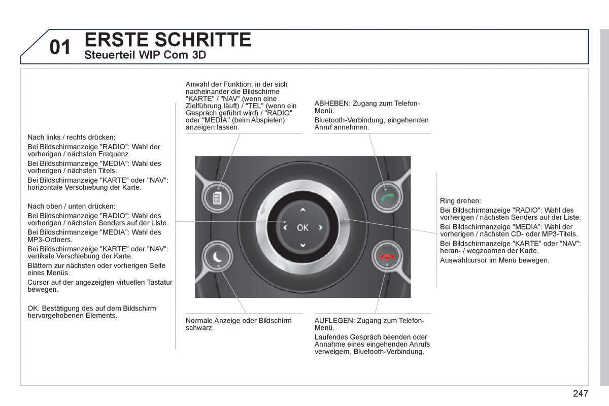 Peugeot 3008 Hybrid Handbuch / page 249