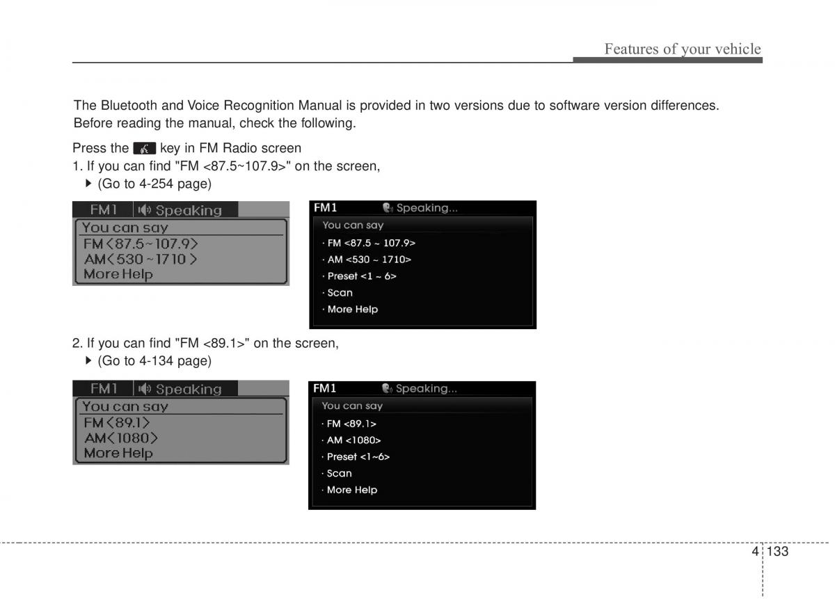 Hyundai Elantra V 5 i35 Avante MD owners manual / page 219