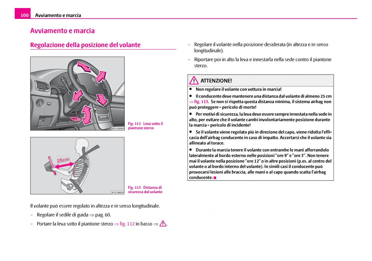 Skoda Superb I 1 manuale del proprietario / page 101