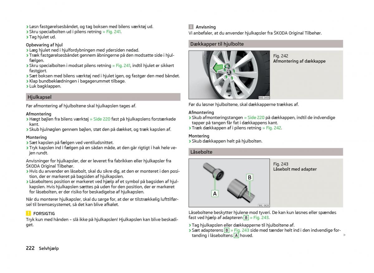 Skoda Superb III 3 Bilens instruktionsbog / page 225