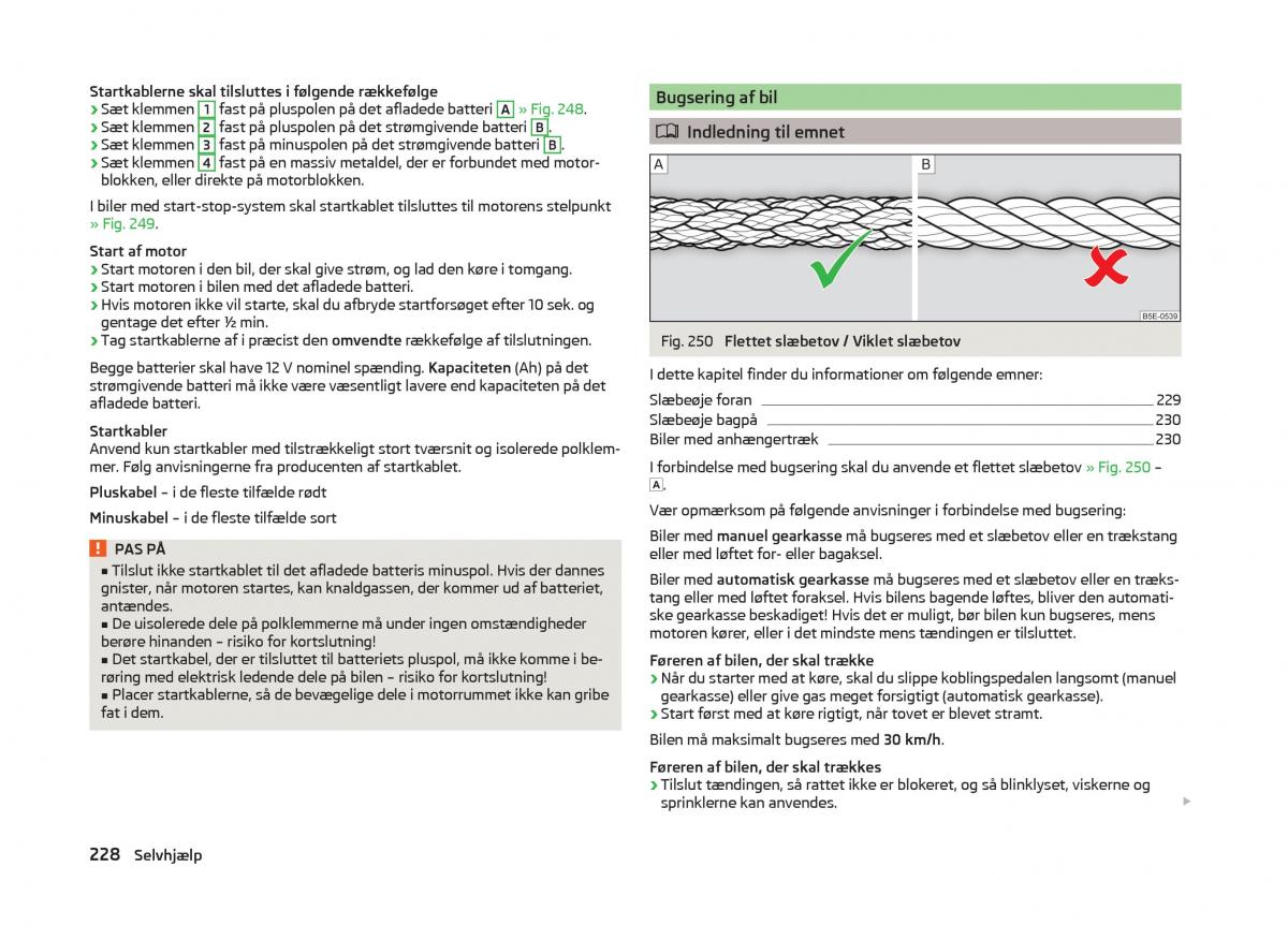 Skoda Superb III 3 Bilens instruktionsbog / page 231